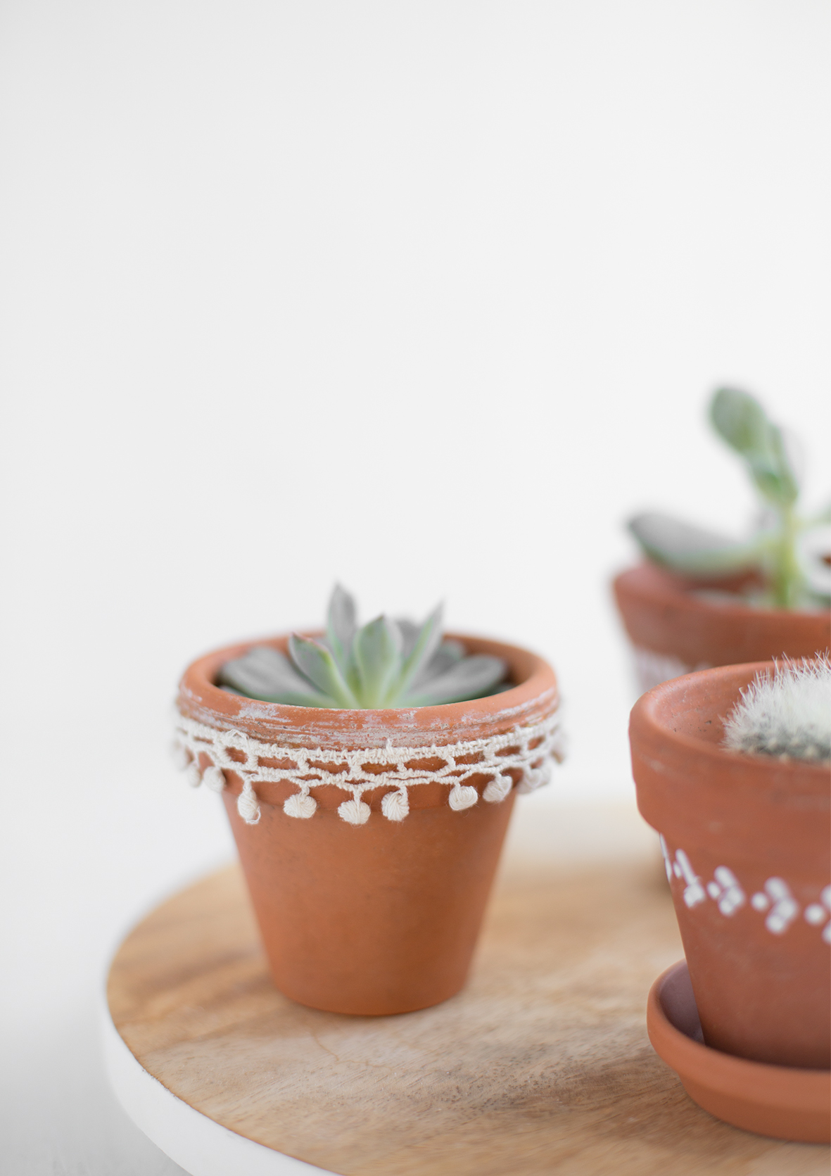 DIY Sukkulenten Töpfe – detail lovin