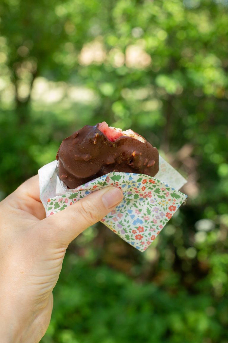 Frozen Grießbrei Bites mit Erdbeeren und Schoko